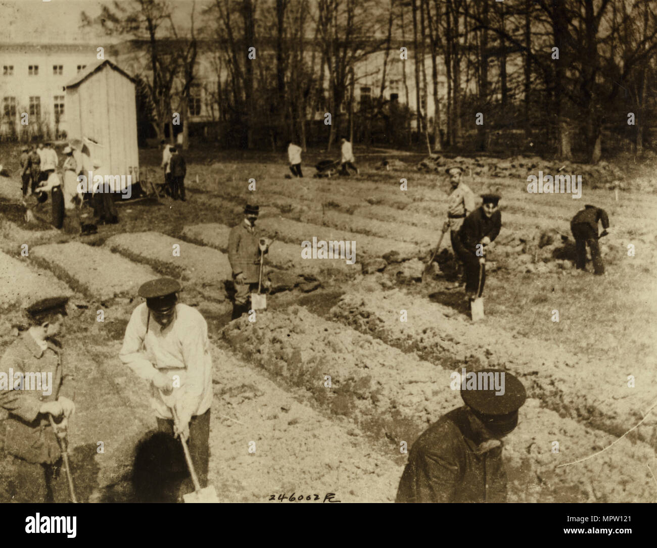 Tsar Nicholas II e famiglia giardinaggio presso Alexander Palace durante il confino a Carskoe Selo, 1917, Foto Stock