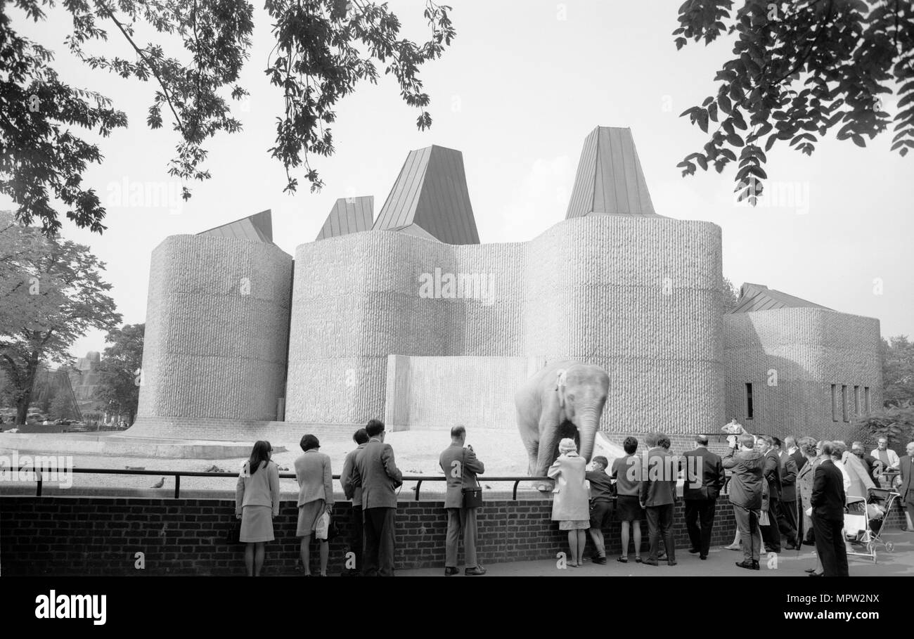 Elephant e rhino pavilion, lo Zoo di Londra, il Regents Park, Londra, c1965. Artista: Eric de Maré. Foto Stock