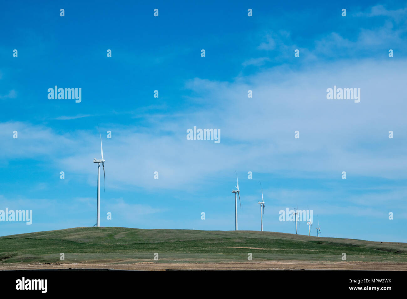 Linea di turbine eoliche, Blackspring Ridge progetto eolico da EDF EN Canada Inc e Inc Enbridge nel sud est di Alberta è costituito da 166 Vestas V100-1.8MW Foto Stock
