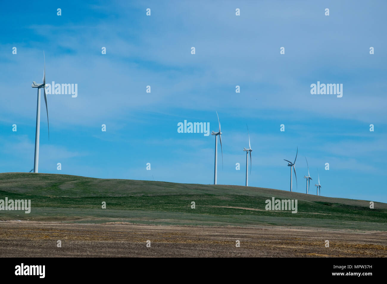 Windturbines su di un crinale, Blackspring Ridge progetto eolico da EDF EN Canada Inc e Inc Enbridge nel sud est di Alberta è costituito da 166 Vestas V100-1.8 Foto Stock