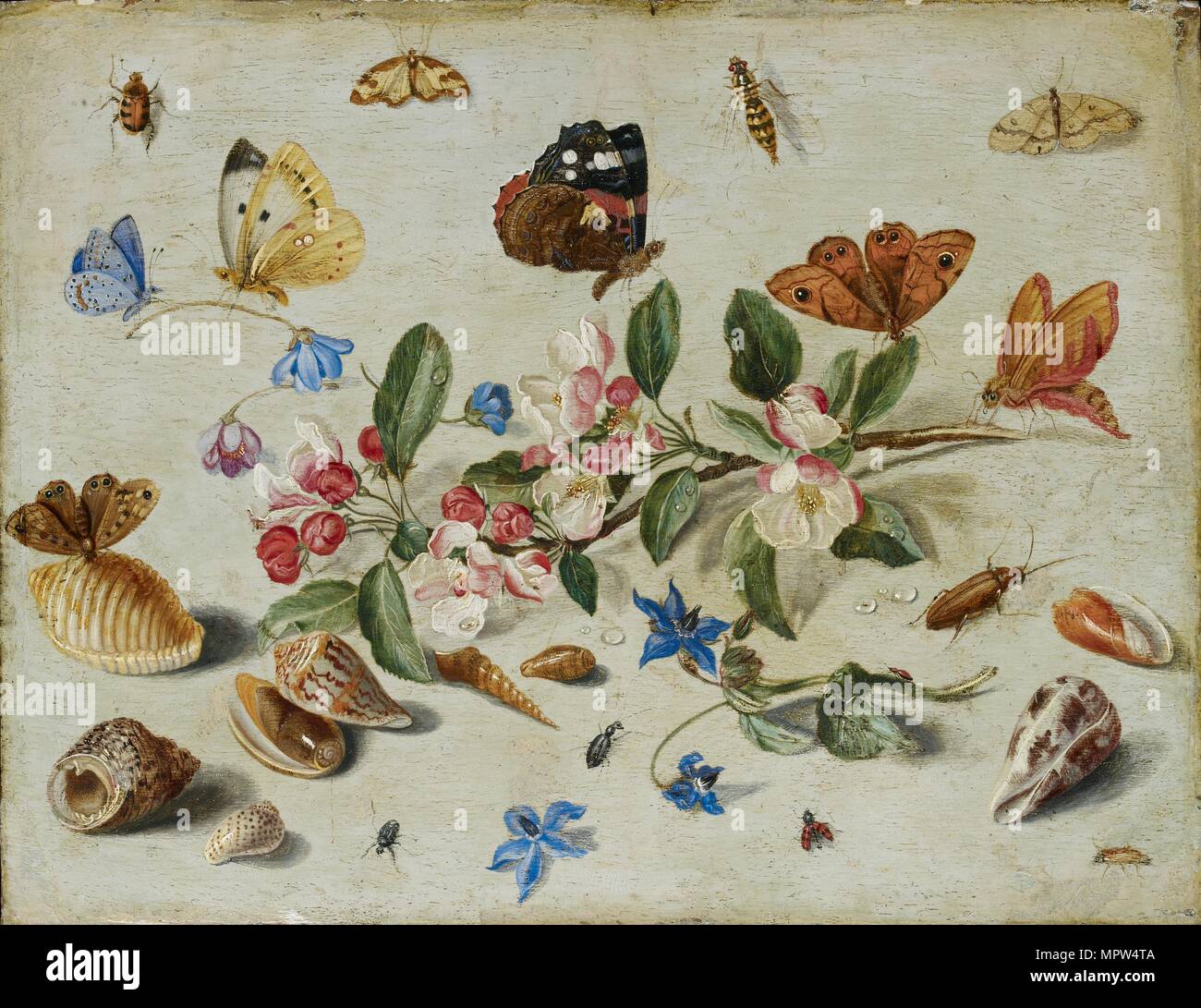 Fiori e insetti, tardi 1650s o primi 1699s. Artista: Jan van Kessel. Foto Stock