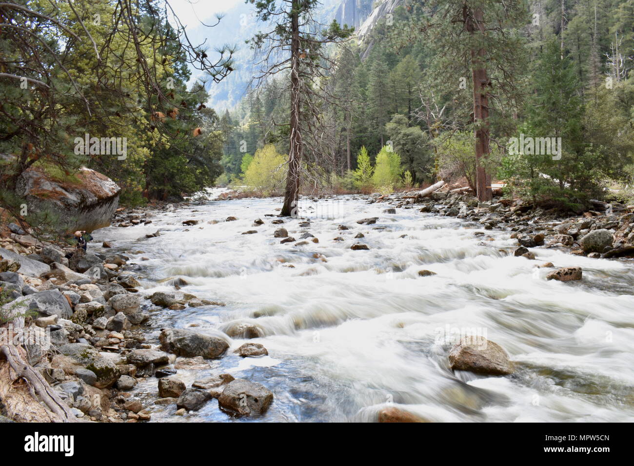 Merced River che scorre, il Parco Nazionale Yosemite in California Foto Stock