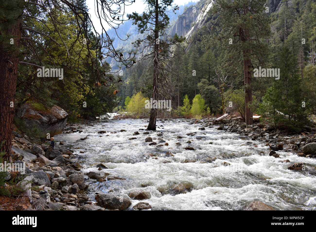 Merced River, il Parco Nazionale Yosemite in California Foto Stock
