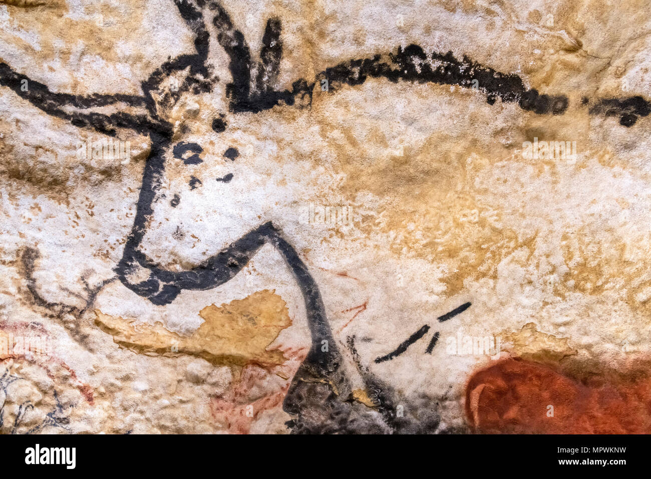 Pittura rupestre di bull dalla sala dei tori, Centro Internazionale di Arte grotta di Lascaux (IV), Montignac, Dordogne, Francia. Pitture rupestri. Foto Stock