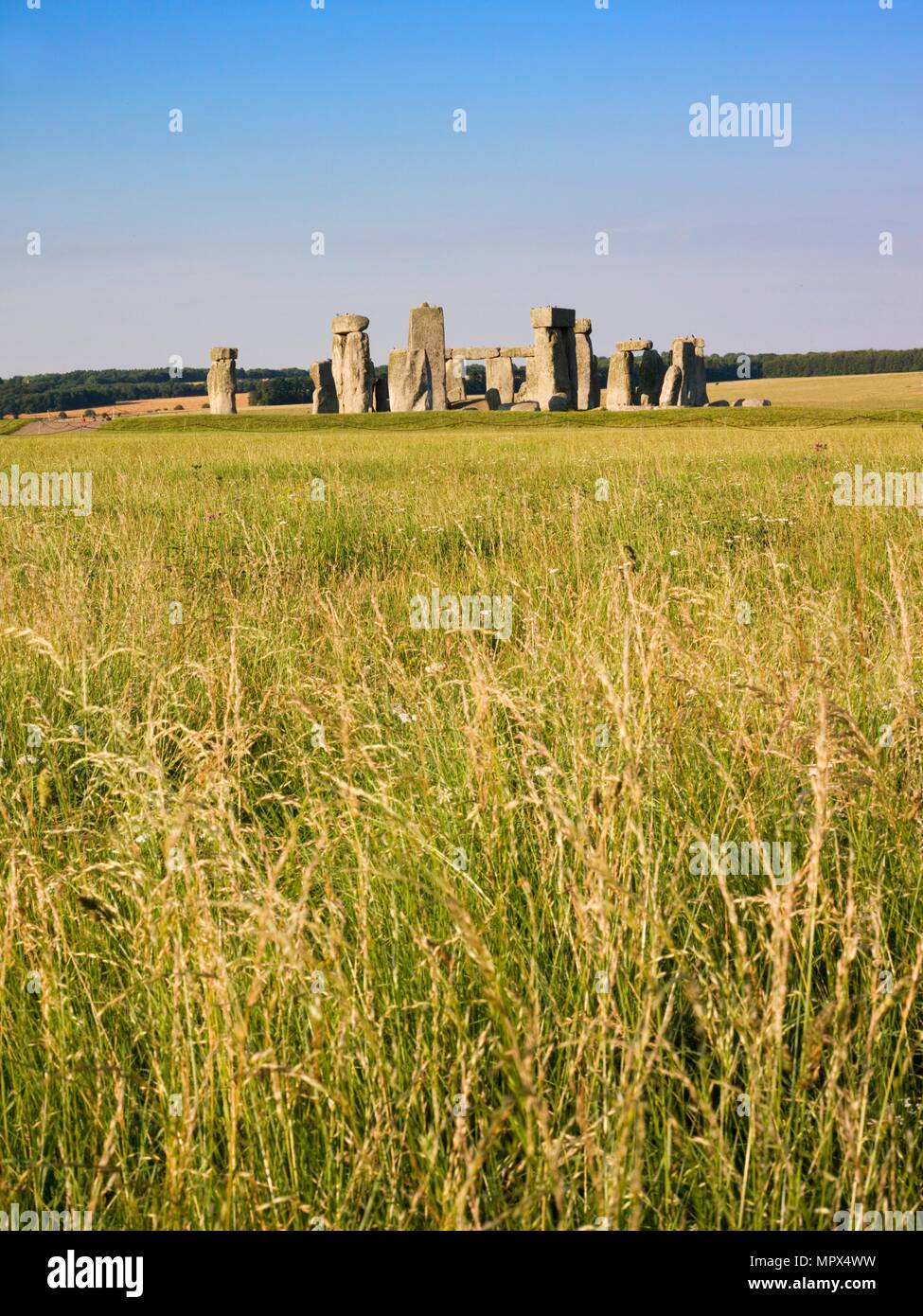 Stonehenge, Wiltshire, 2006. Artista: Storico Inghilterra fotografo personale. Foto Stock