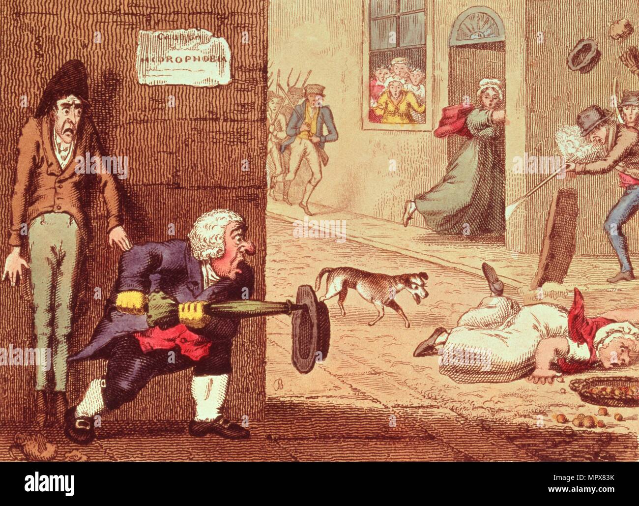 Mad Dog, pub. 1826 (lato attacco colorati) Foto Stock