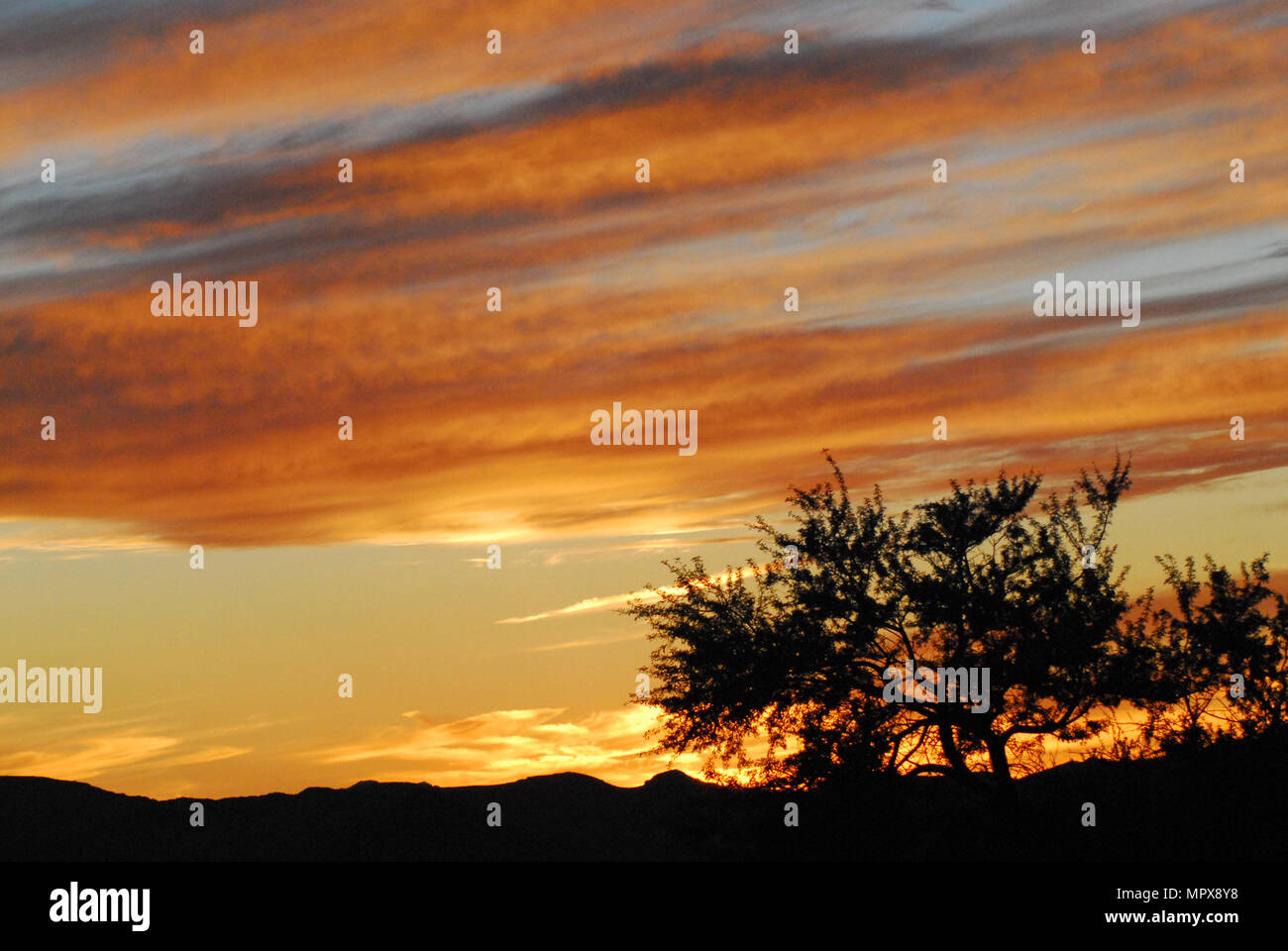 La regione del deserto del Western USA ha alcuni dei più splendidi tramonti sul pianeta. Questo è solo un campione. Splendido sfondo! Foto Stock