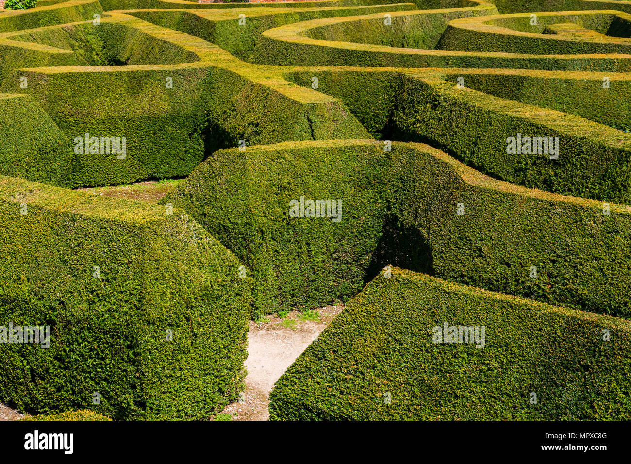 Il labirinto presso il Palazzo di Blenheim Foto Stock