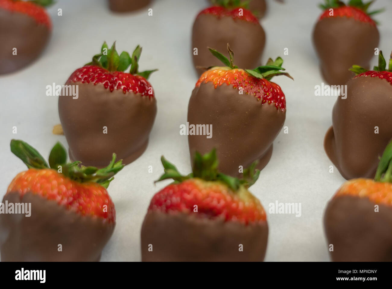 Latte fragole ricoperte di cioccolata dietro il caso di vetro Foto Stock