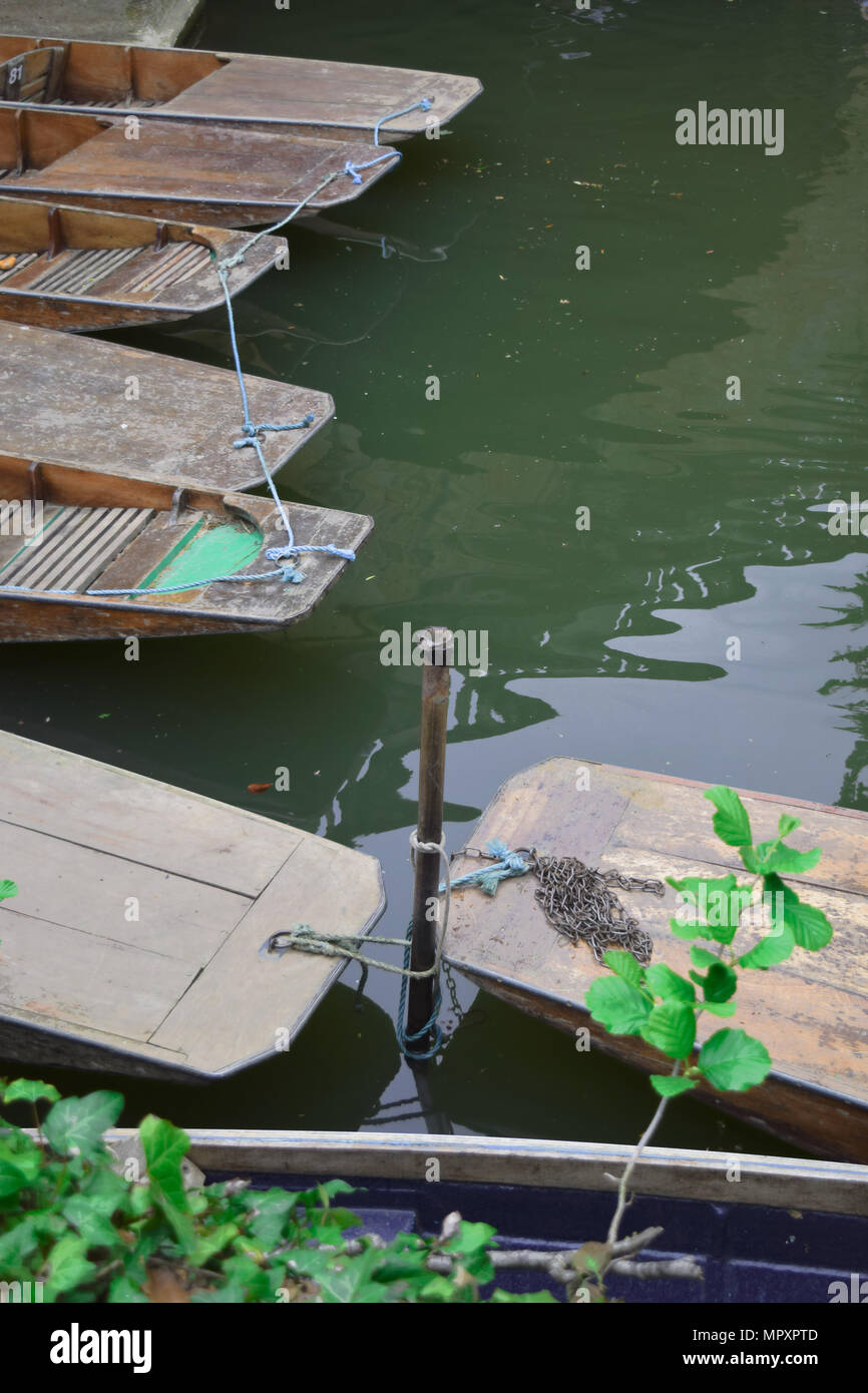 Punt di attracco sul fiume Cherwell Oxford Inghilterra Foto Stock