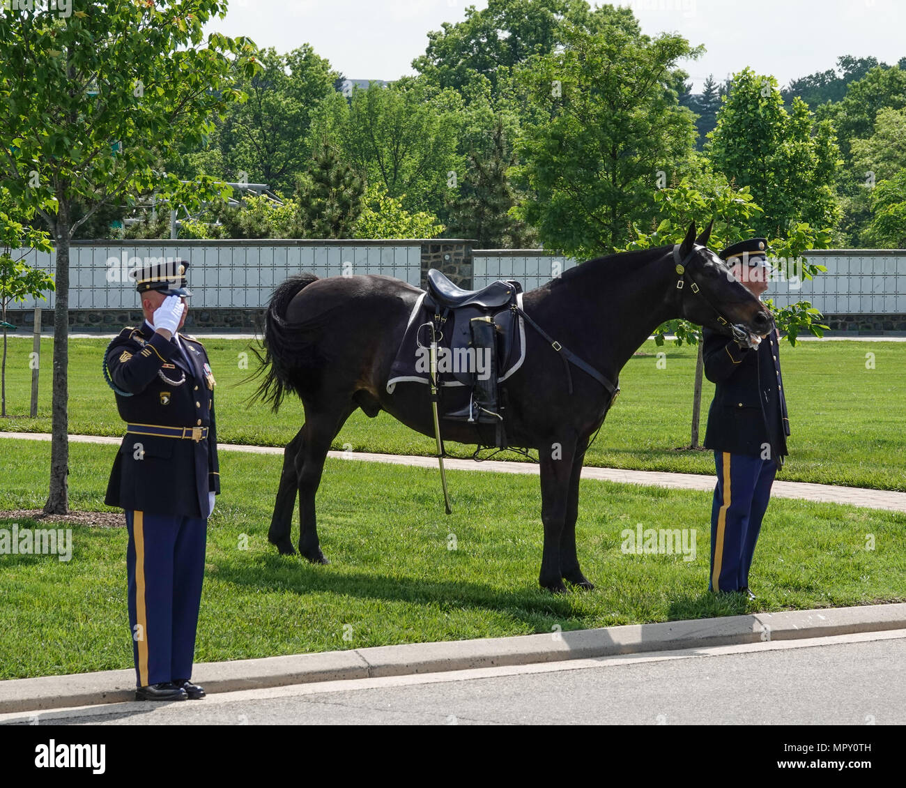 Riderless Horse al funerale militare presso il Cimitero Nazionale di Arlington Foto Stock