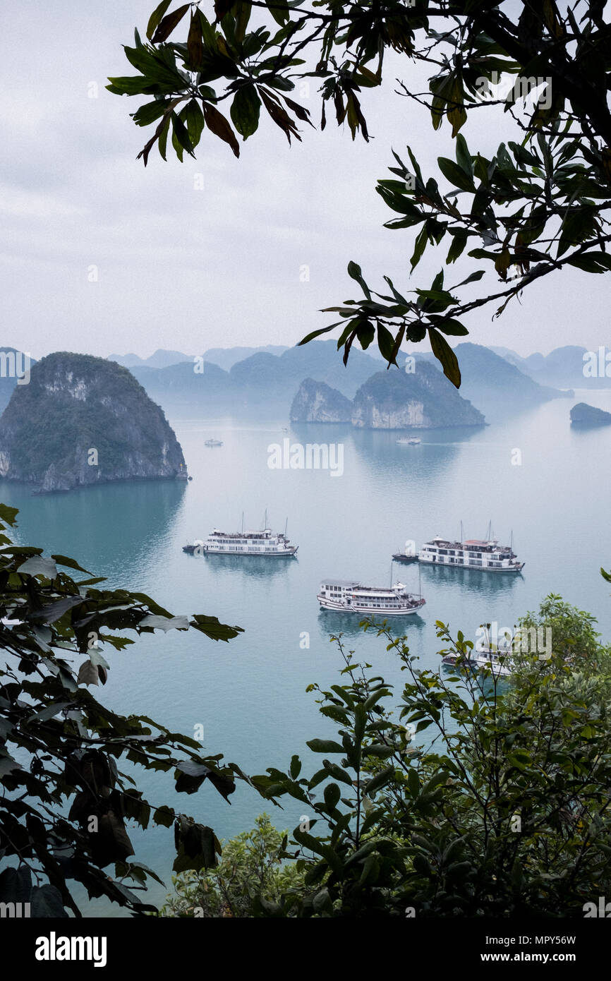 Barche a vela nella Baia di Halong contro formazioni rocciose durante la nebbia meteo Foto Stock