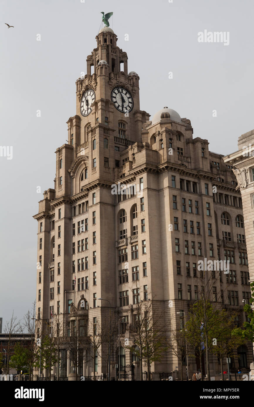 Il Liver Building in Liverpool Foto Stock