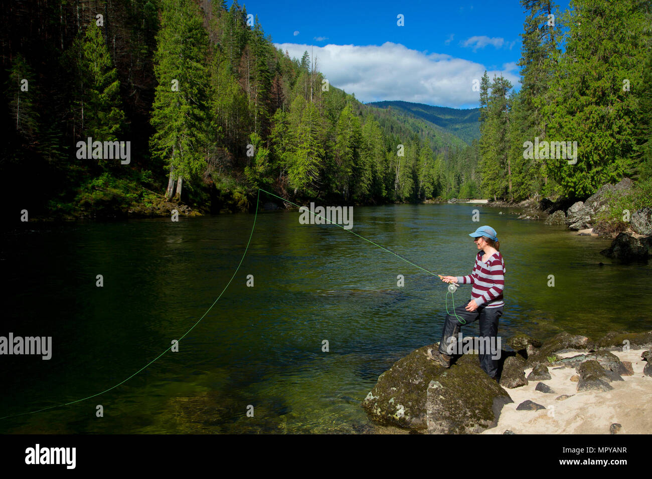 Pesca a mosca lungo il fiume Selway Trail, Selway selvatica e Scenic River, Selway-Bitterroot deserto, Nez Perce National Forest, Idaho Foto Stock