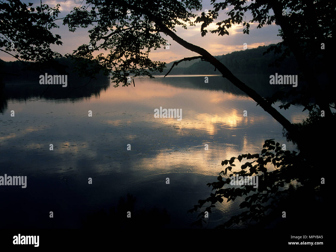 Dead Creek Flusso di mirtillo palustre del lago, Cinque Stagni deserto Adirondack Park, New York Foto Stock