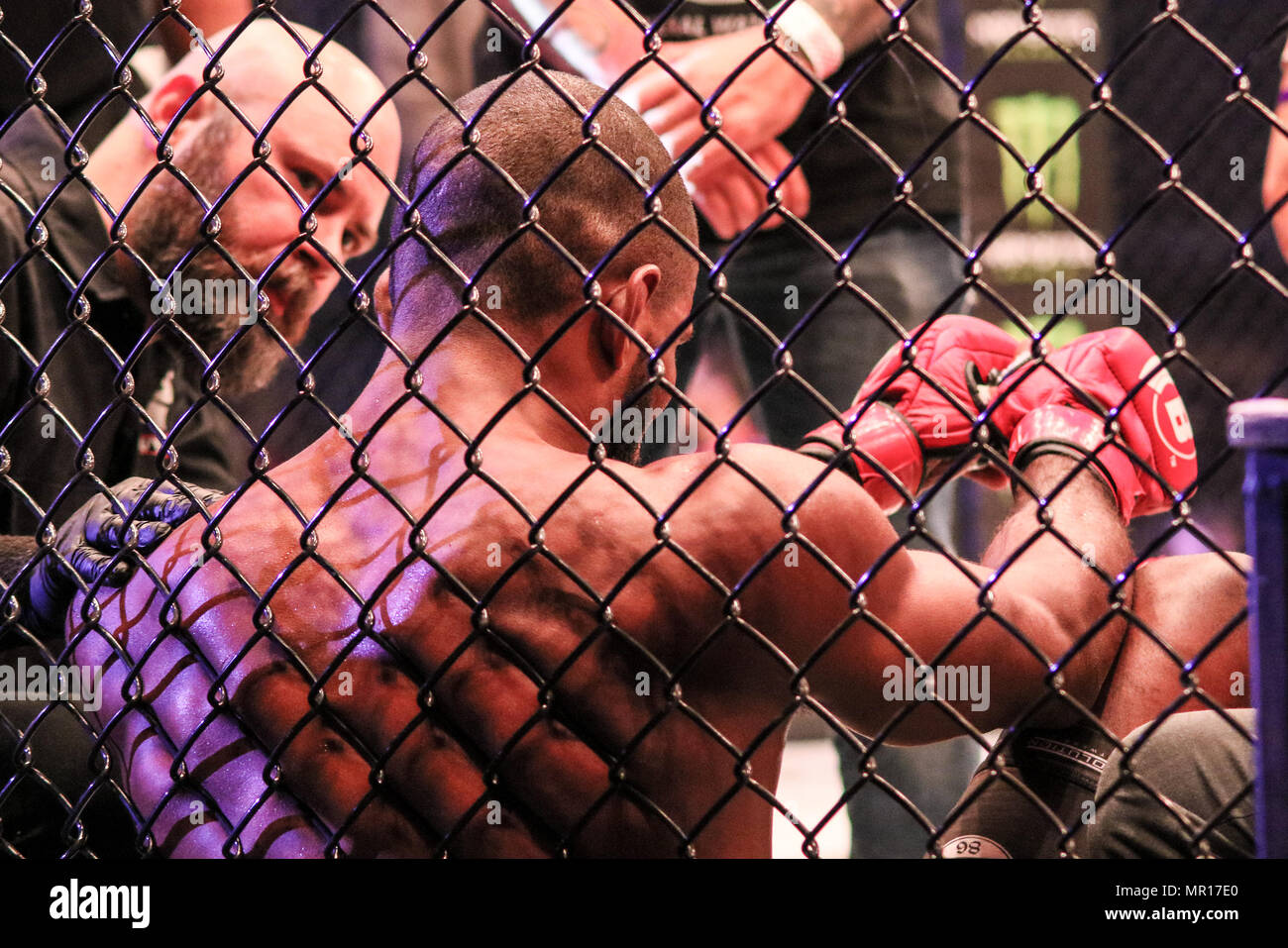 Gegard Mousasi sconfigge Rafael Carvalho e prende il Bellator middleweight cinghia. Credito: Dan Cooke Foto Stock