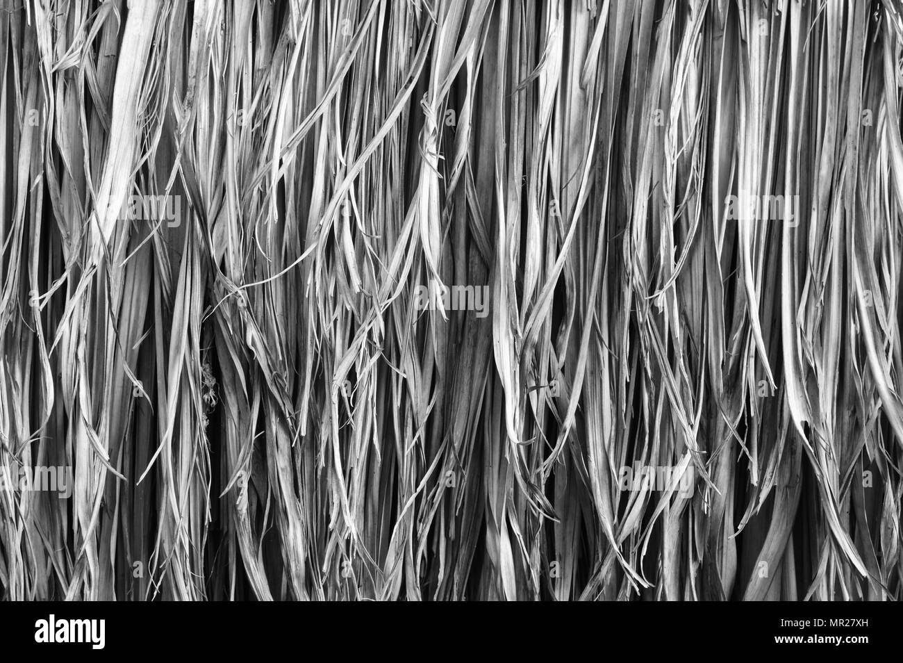 Tetto di Paglia sfondo, immagine in bianco e nero Foto Stock