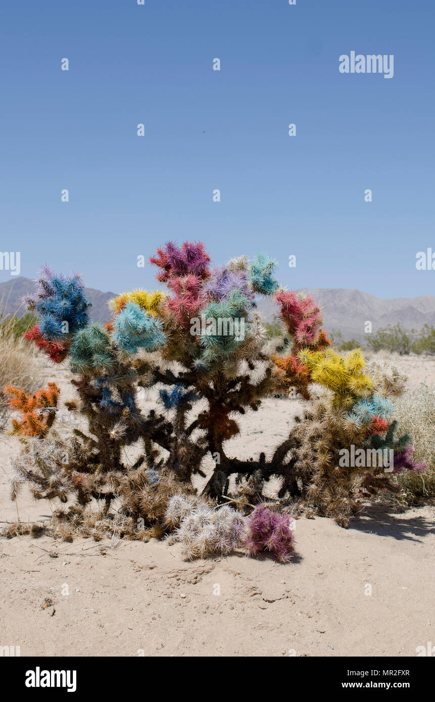 Un dipinto di bush nel deserto di Mojave. Foto Stock