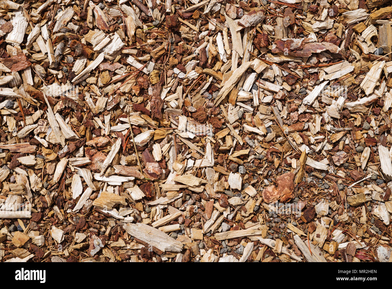 Corteccia di ghiaia e trucioli di legno texture di sfondo Foto Stock