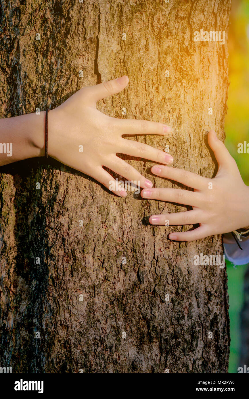 Donna a mano abbraccio tree amore le foreste e gli alberi.concetto di amore per la natura Foto Stock