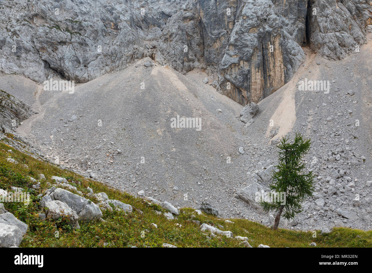 La valle dei sette laghi nel parco nazionale del Triglav durante l'estate, Slovenia Foto Stock