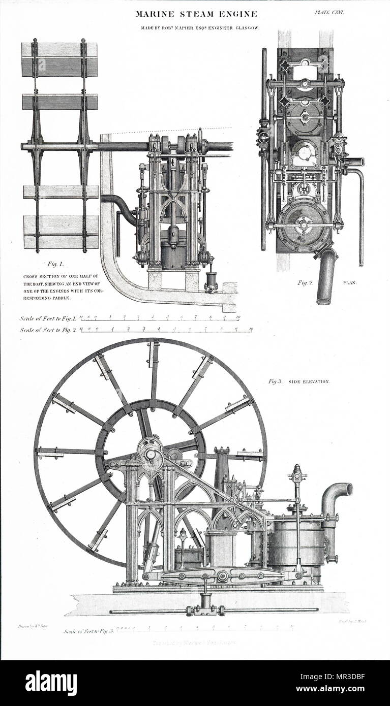Illustrazione raffigurante una marina motore di vapore. Inventato da Robert Napier (1791-1876) un scozzese ingegnere marino. Datata del XIX secolo Foto Stock