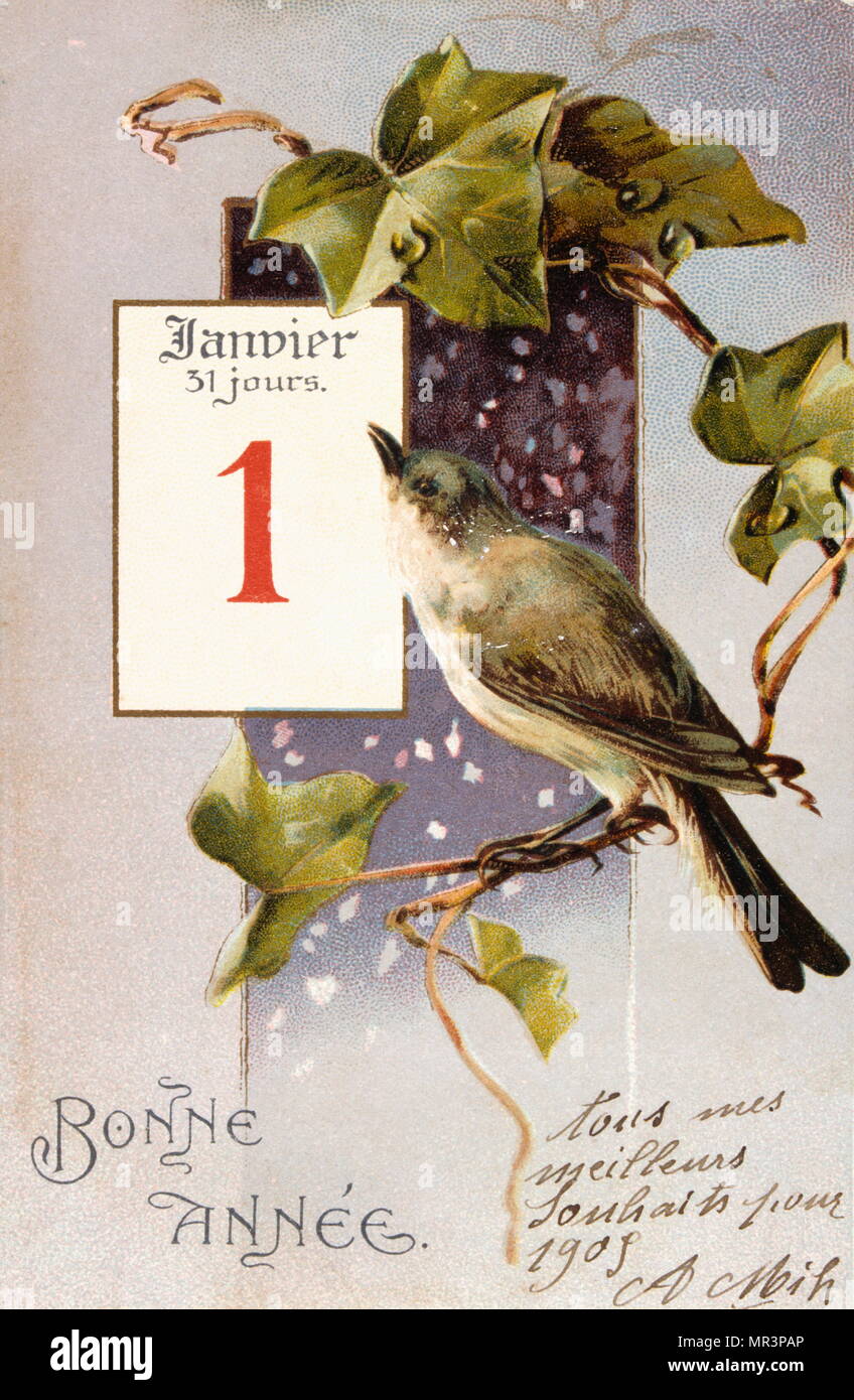 Il francese Felice Anno Nuovo, cartolina raffigurante un uccello su un ramo, circa 1900 Foto Stock