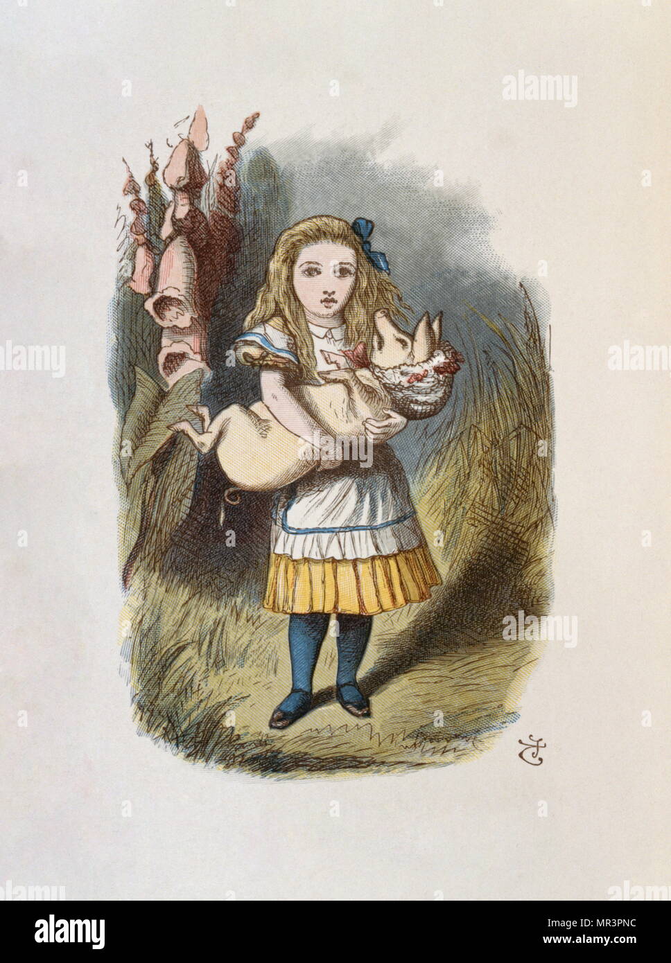 Illustrazione di Tenniel, dal 1890 edizione di "Alice nel paese delle meraviglie" da Lewis Carroll. Foto Stock