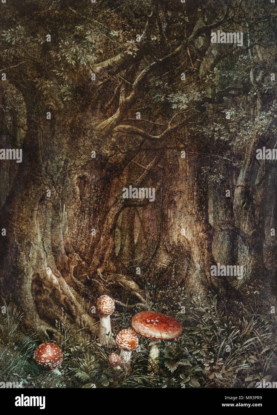 Amanita Muscaria' 1979 da Roland Cat (nato nel 1943 a Parigi). Foto Stock