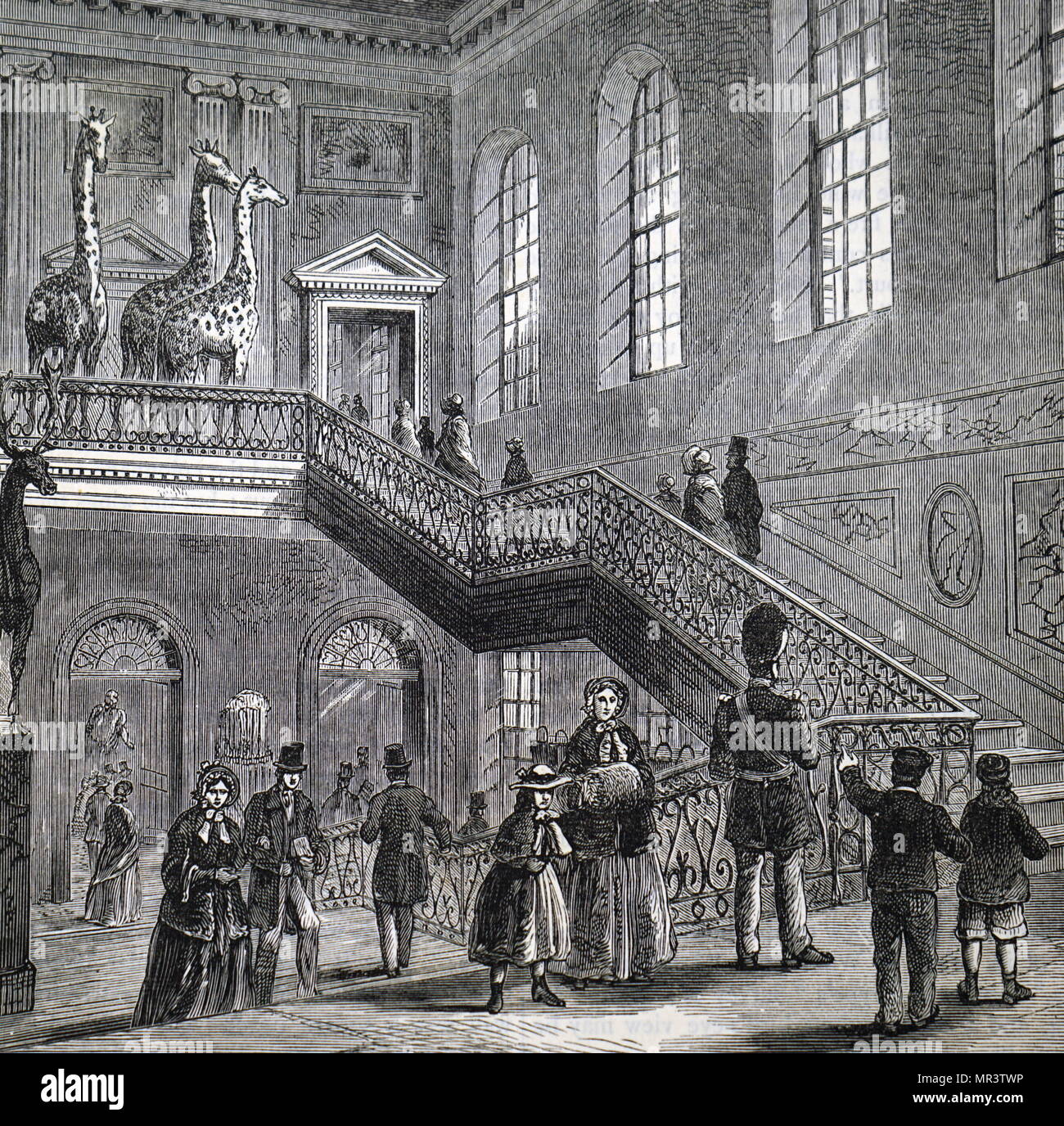 Illustrazione raffigurante il grande scalone a Montagu House, Bloomsbury, la prima casa del British Museum. Datata del XIX secolo Foto Stock