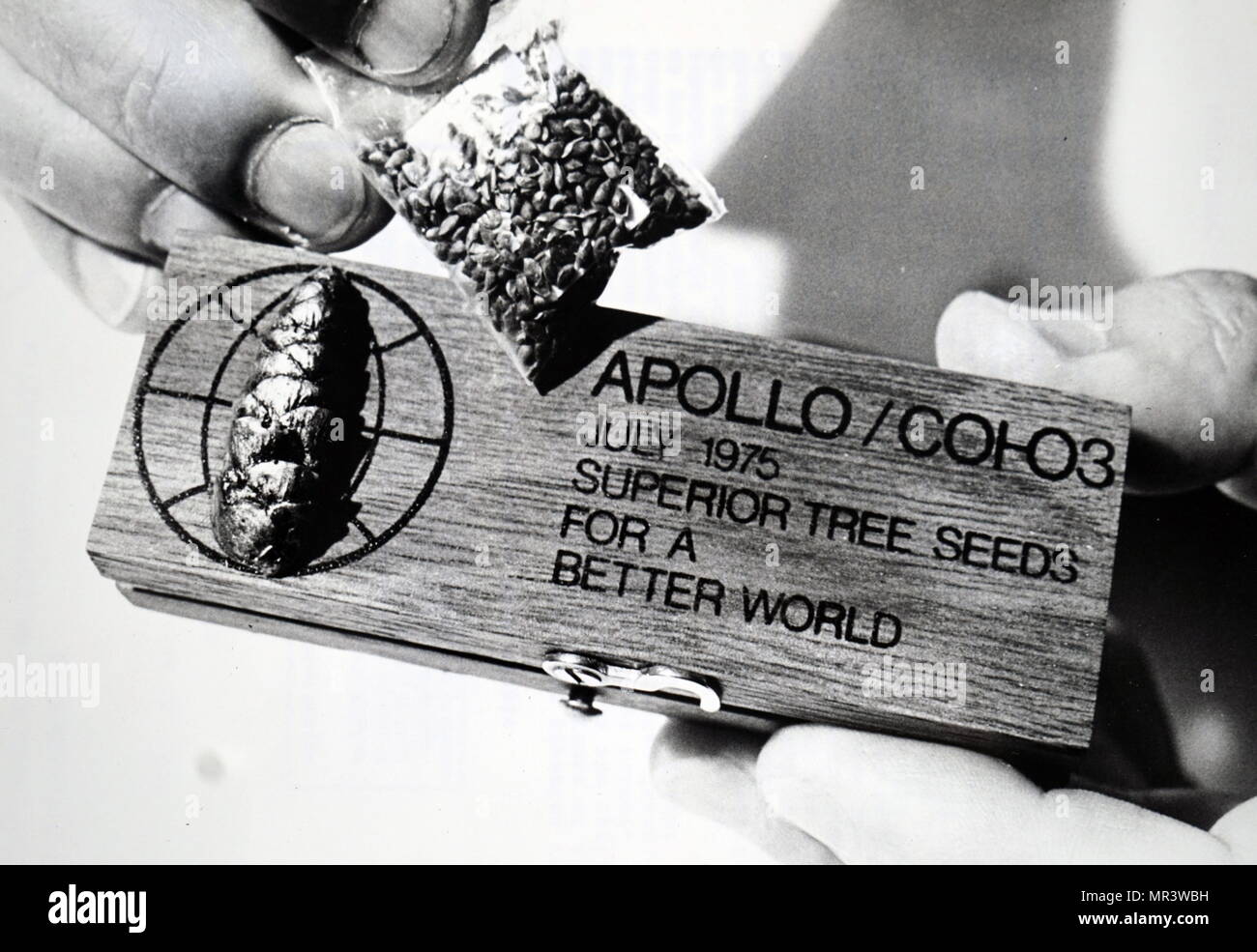 Dono di superior semi di alberi dato all'equipaggio dell'Apollo-Soyuz Test Project. In data xx secolo Foto Stock