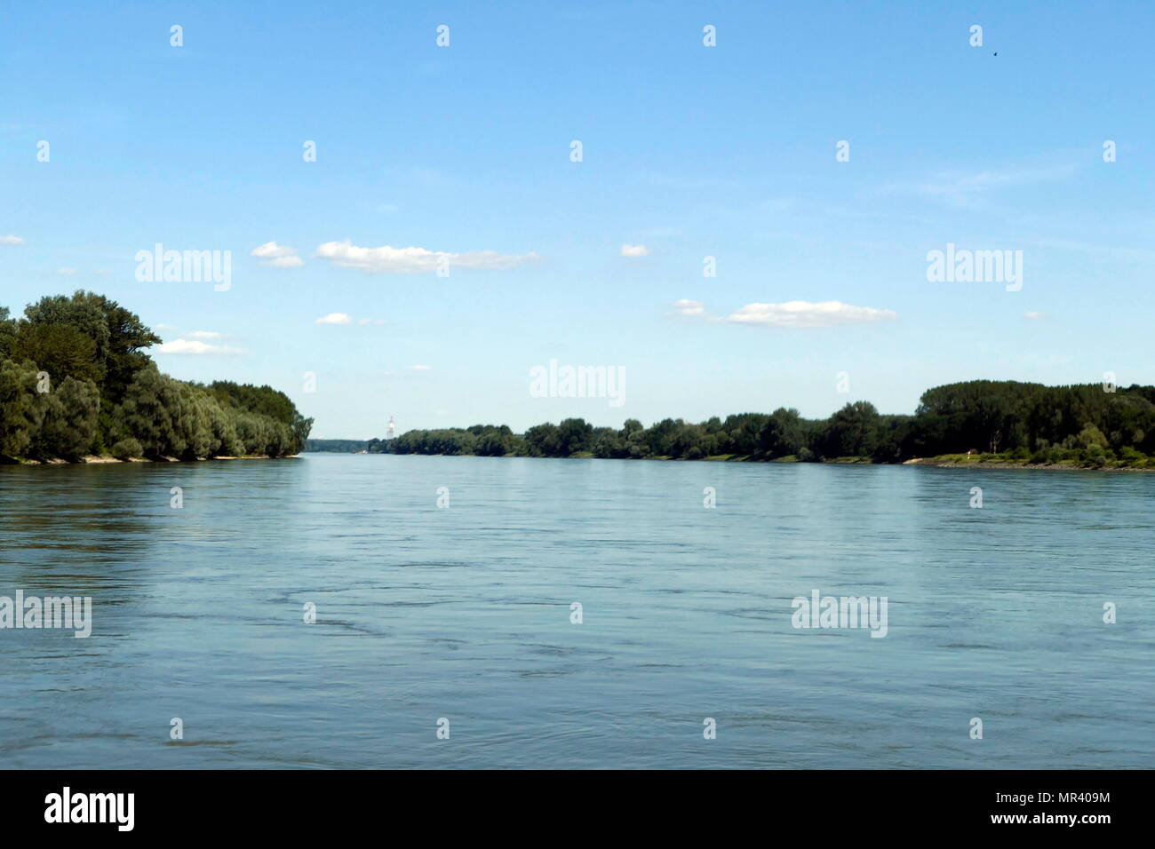 Fotografia del Danubio a Vienna, Austria Danubio l'Europa è il secondo più lungo rive, che fluisce attraverso dieci paesi per 2,860 km (1.780 miglia). Recante la data del XXI secolo Foto Stock
