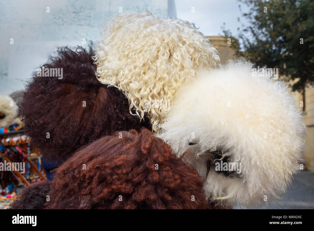 Pecore cappelli nel mercato sulla street nella città vecchia Icheri Sheher a Baku. Azerbaigian Foto Stock