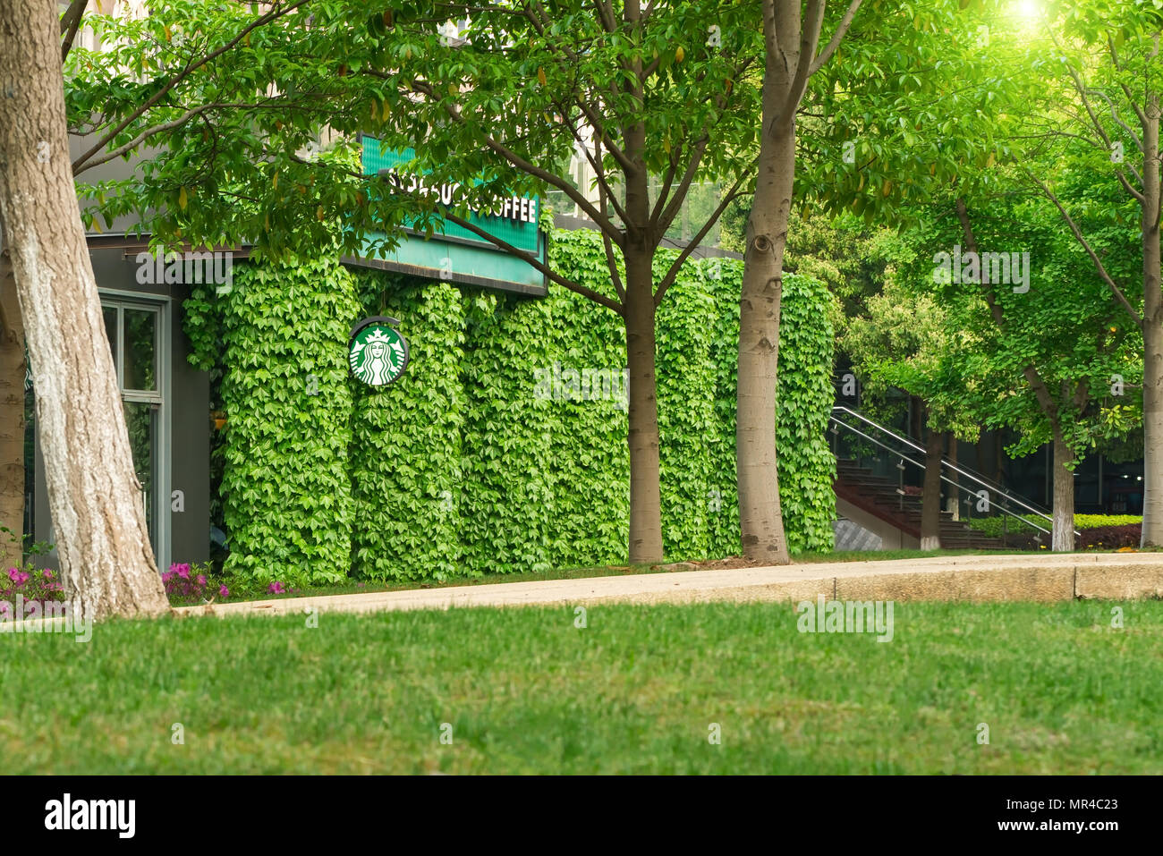 SHANGHAI, Cina - APR 2018: Starbucks coffee shop in foglia verde a parete, coffeehouse più grande azienda al mondo il caffè nel concetto di giardino Foto Stock