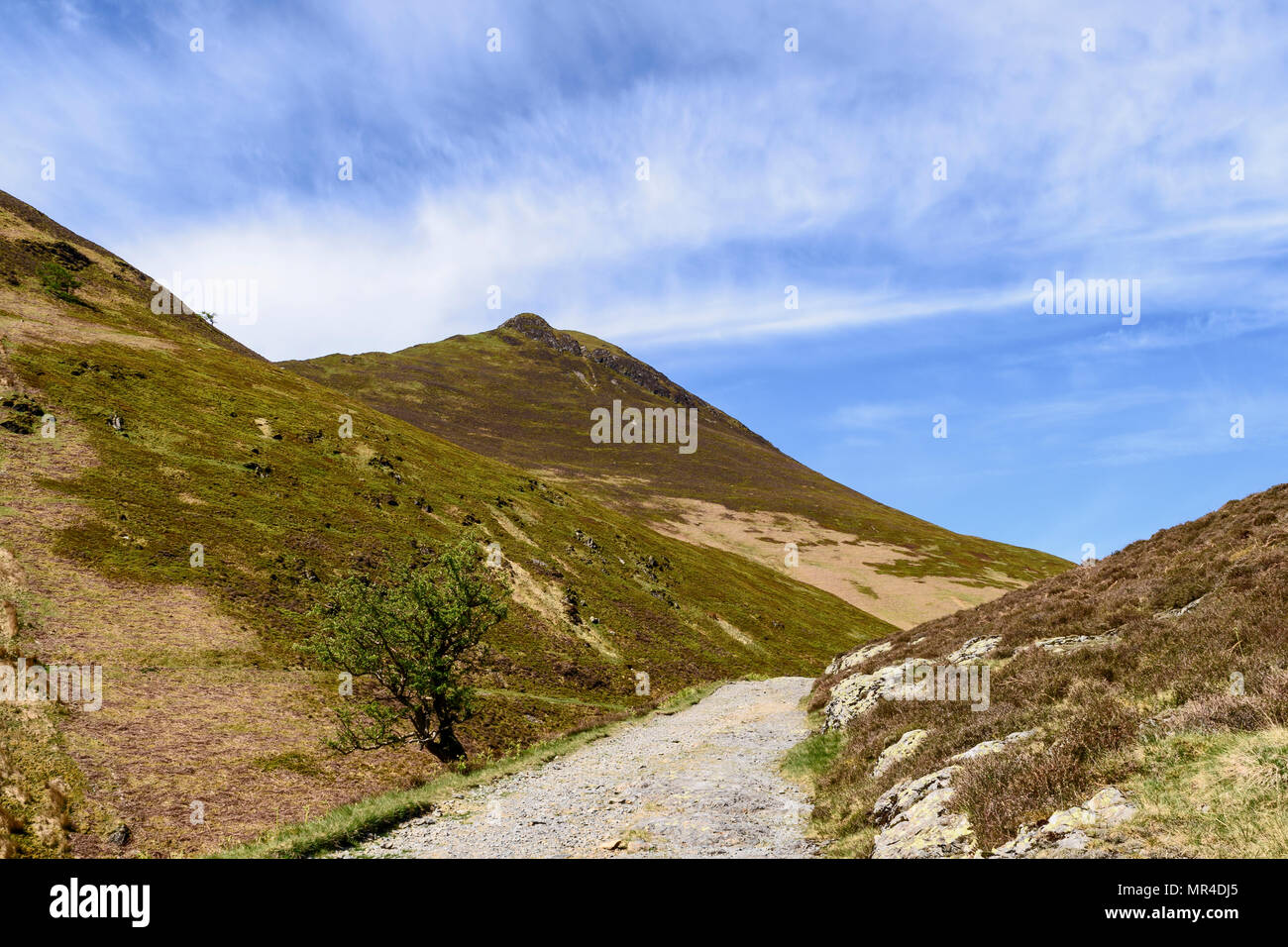 Causey Pike nel nord-occidentale di Lakeland fells Foto Stock