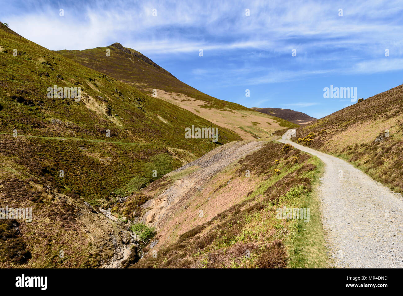 Causey Pike nel nord-occidentale di Lakeland fells Foto Stock