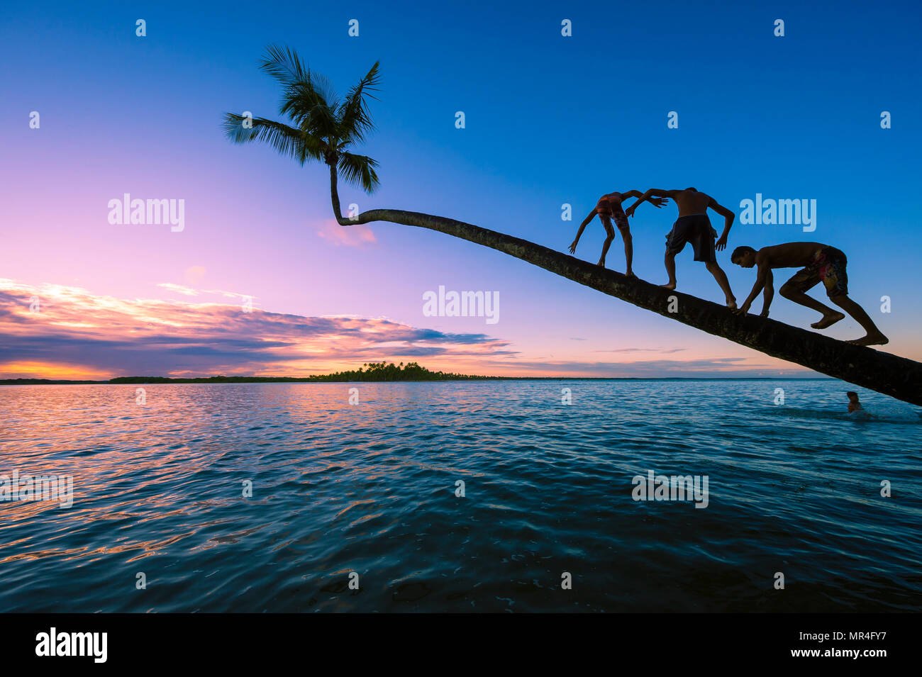 CAIRU, Brasile - CIRCA NEL MARZO 2018: giovani ragazzi salire una noce di cocco Palm tree sovrastante calme acque tropicali al tramonto. Foto Stock