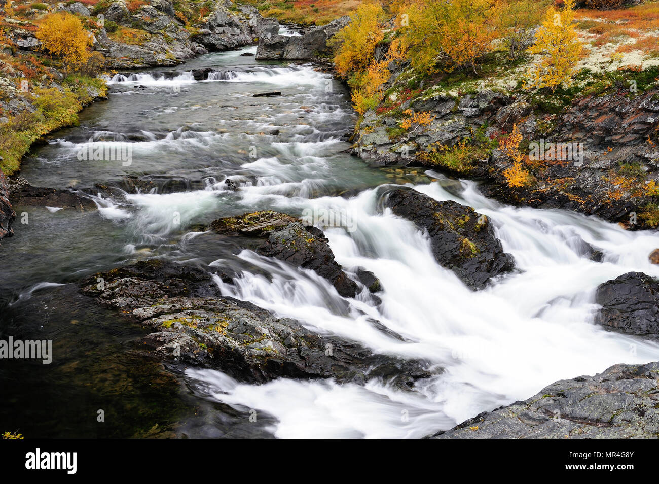 Paesaggio fluviale con rapide in autunno, dovrefjell, Norvegia Foto Stock