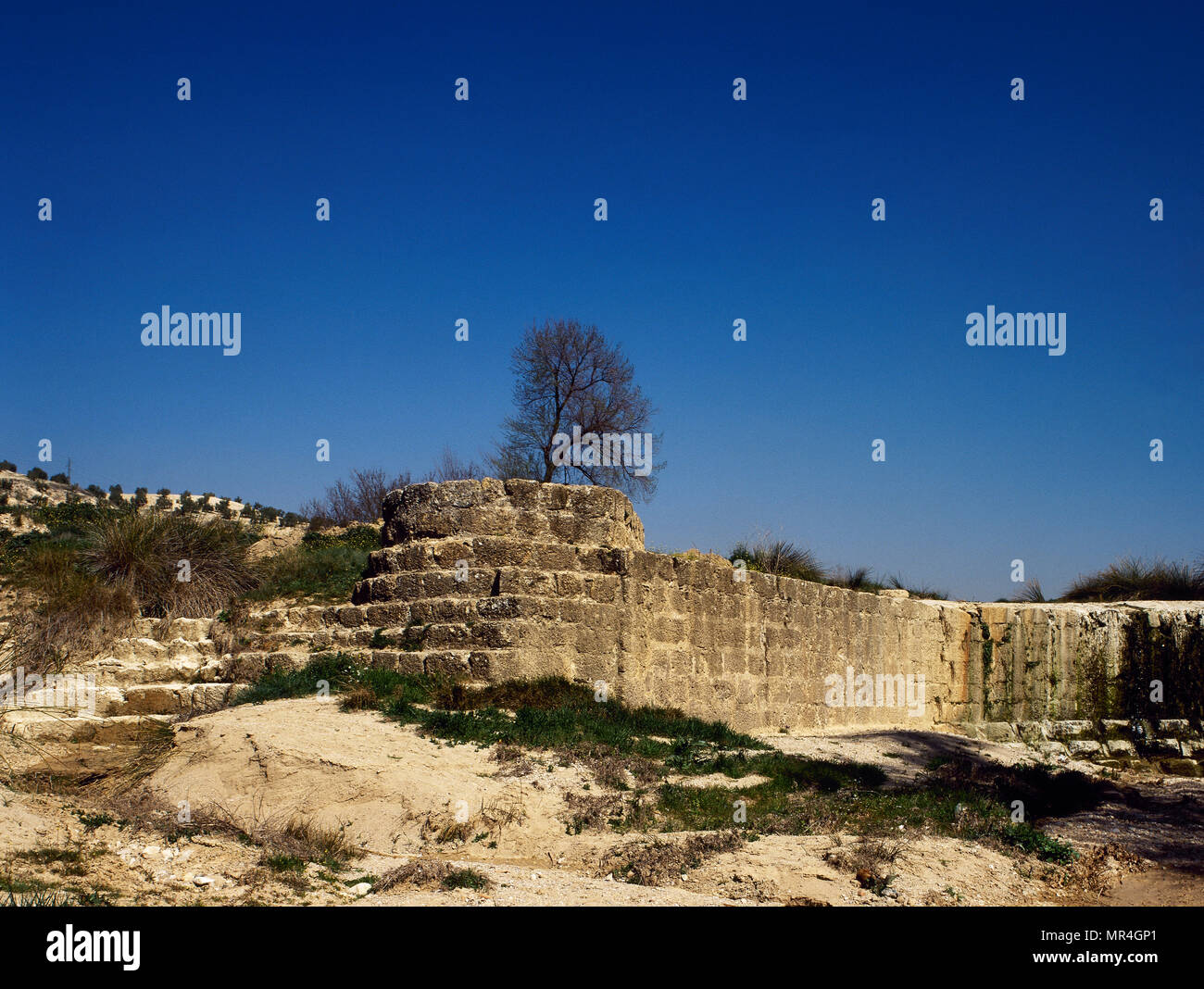 Diga romana di Barcinas. Fu costruito tra il I e il II secolo a.c. per contenere le acque del fiume Cubillas. La sua base è fatta di bossages, che sono le pietre non tagliato spesso utilizzato in architettura romana. Deifontes, provincia di Granada, Andalusia, Spagna. Foto Stock