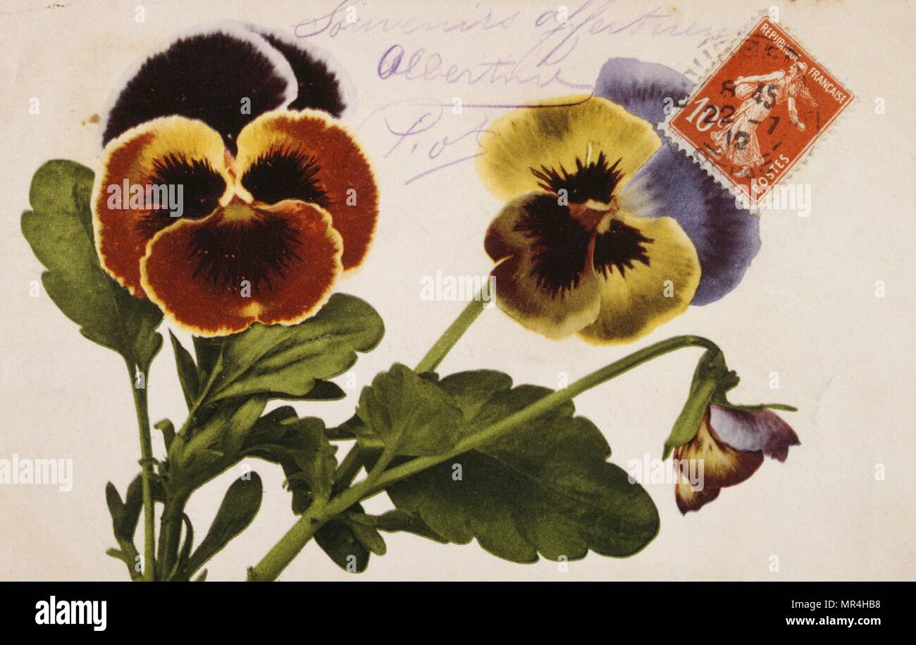 Vintage cartolina francese con decorazioni floreali 1900 Foto Stock