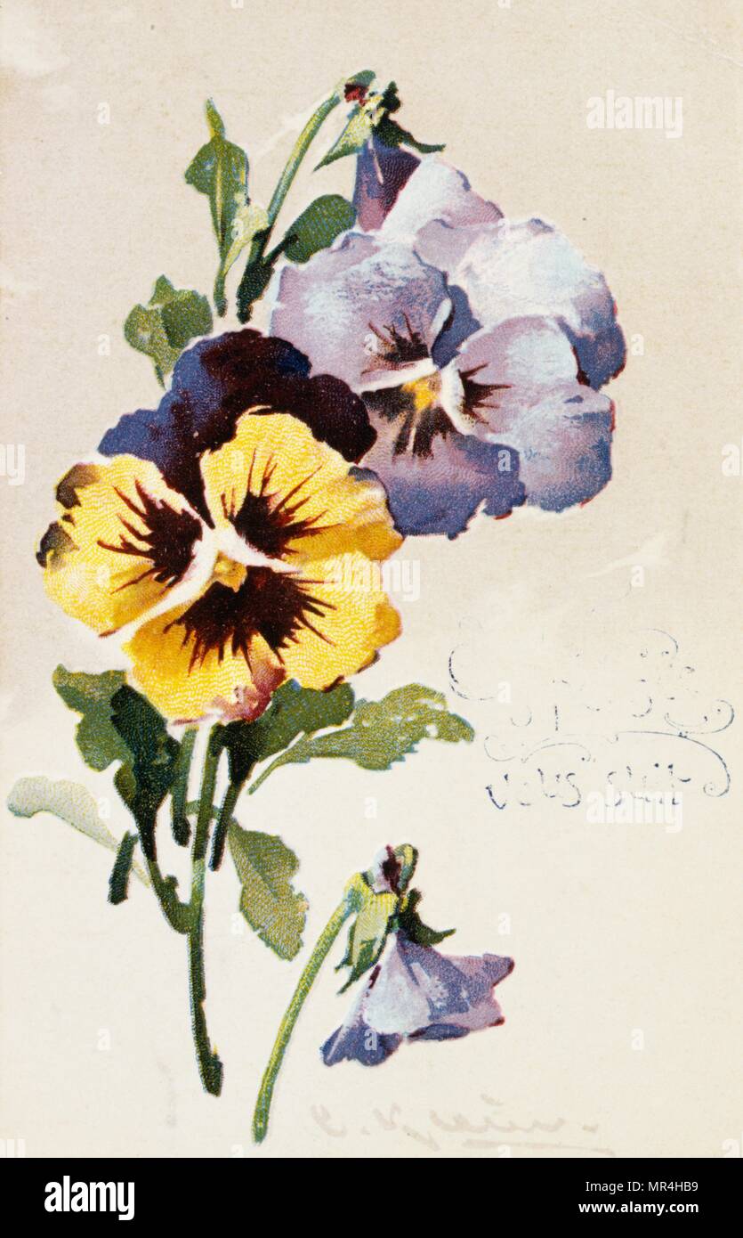 Vintage cartolina francese con decorazioni floreali 1900 Foto Stock