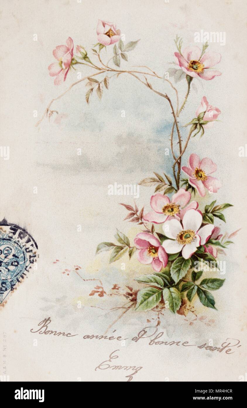 Il francese anno nuovo cartolina raffiguranti fiori 1900 Foto Stock