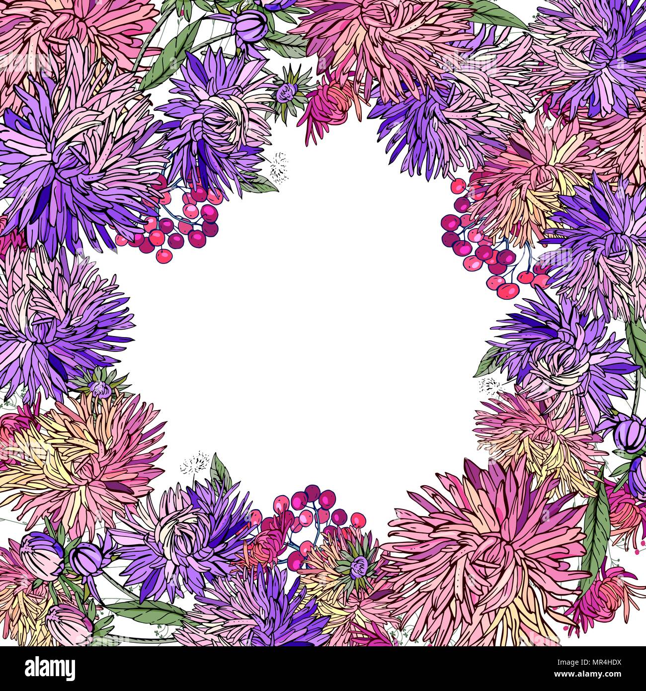 Cornice floreale di diversi astri. Illustrazione Vettoriale