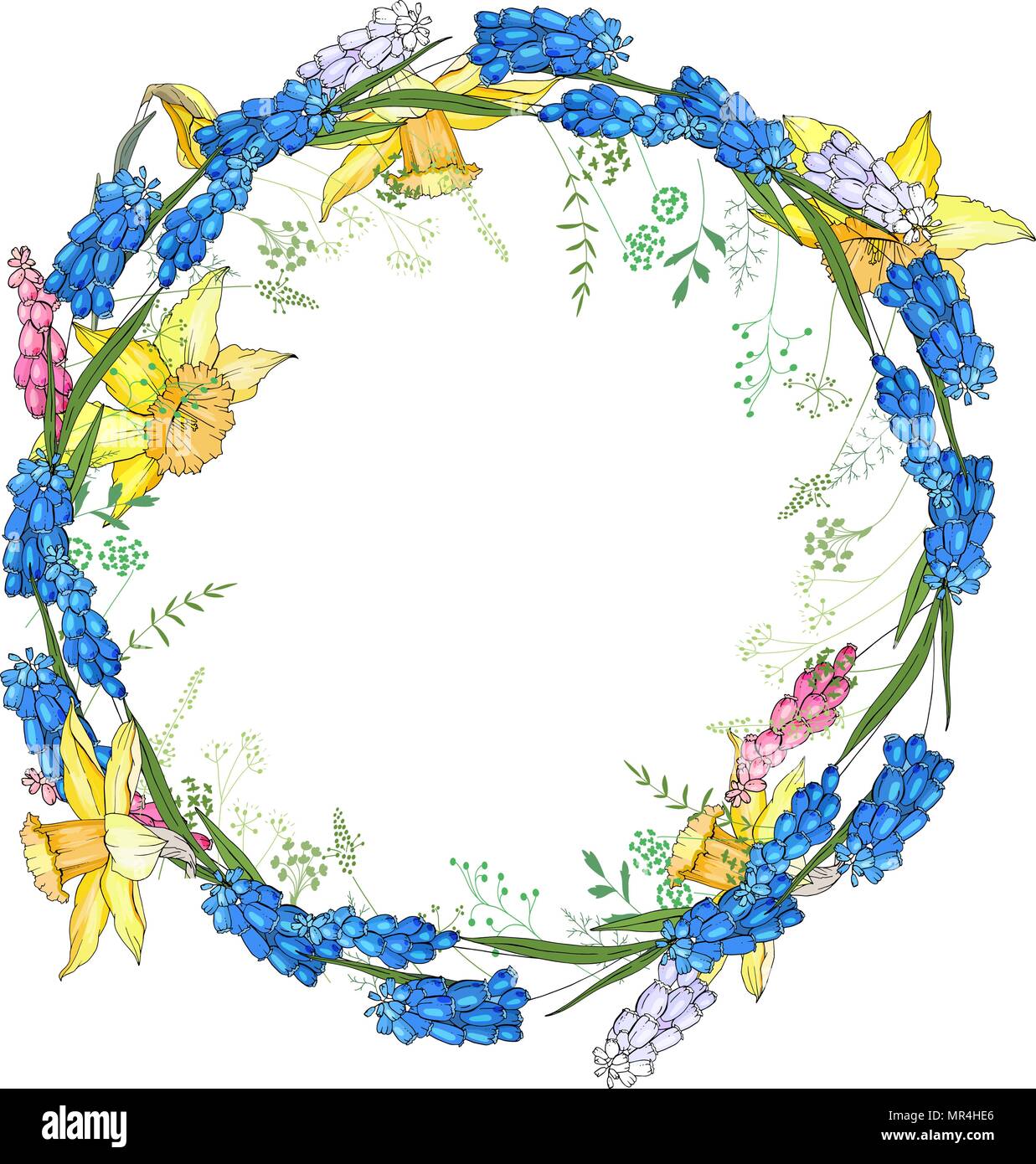 Ghirlanda rotonda con fiori di primavera narcisi e e piccoli fiori blu. Illustrazione Vettoriale