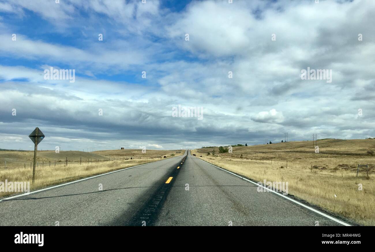 Autostrada rurale nella regione settentrionale del Montana con mucche che attraversa la strada in background Foto Stock