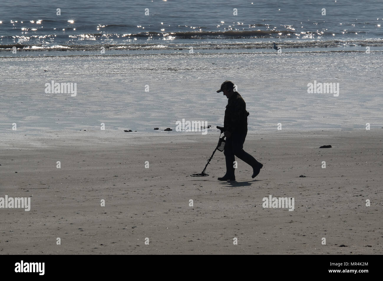 Uomo in silhouette camminando lungo una spiaggia con la bassa marea con un rivelatore di metalli. Foto Stock