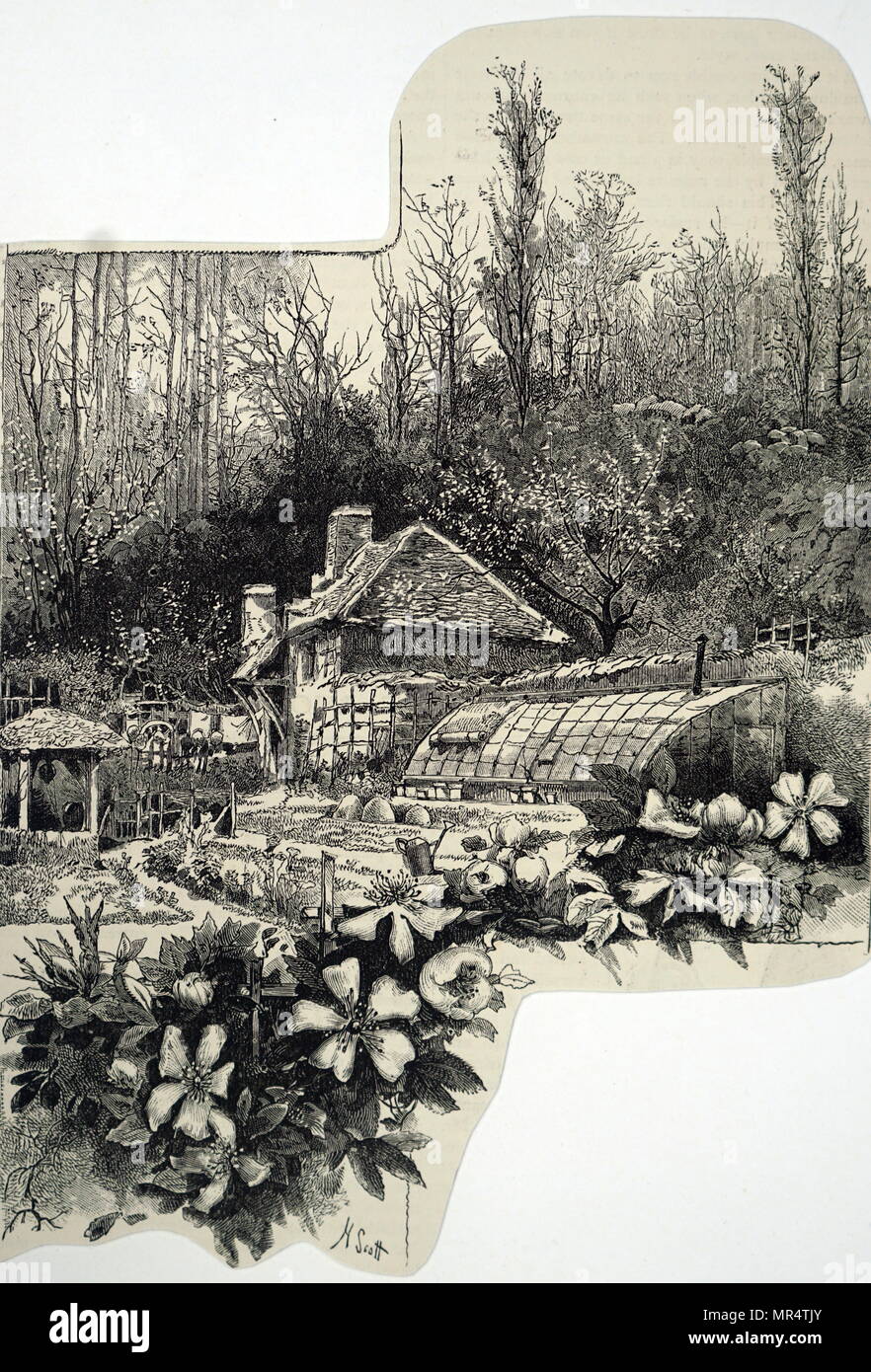 Un cottage Inglese il giardino. 1884. Illustrazione Vittoriano Foto Stock