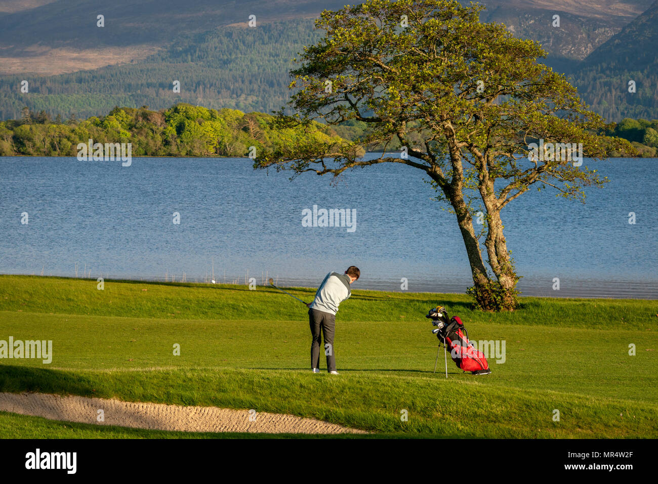 Lone golfer giocare a golf al Fossa Golf and Fishing Club presso il lago Lough Leane nel Killarney National Park, County Kerry, Irlanda Foto Stock