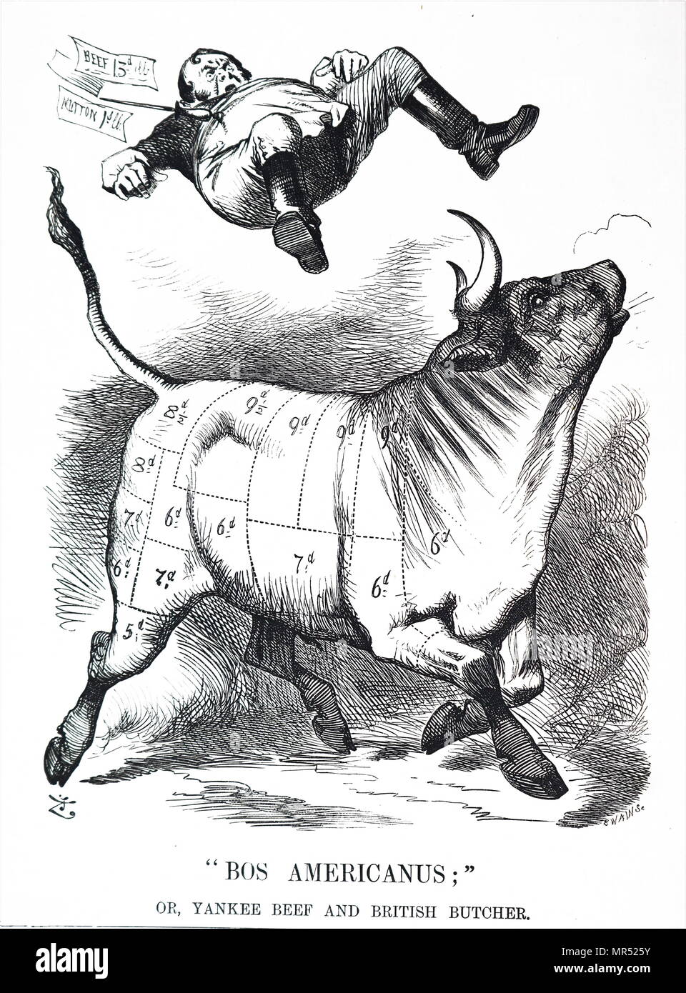 Cartoon commentando la vendita di carni bovine. Illustrato da John Tenniel (1820-1914) un illustratore inglese, UMORISTA GRAFICO E fumettista politico. Datata del XIX secolo Foto Stock