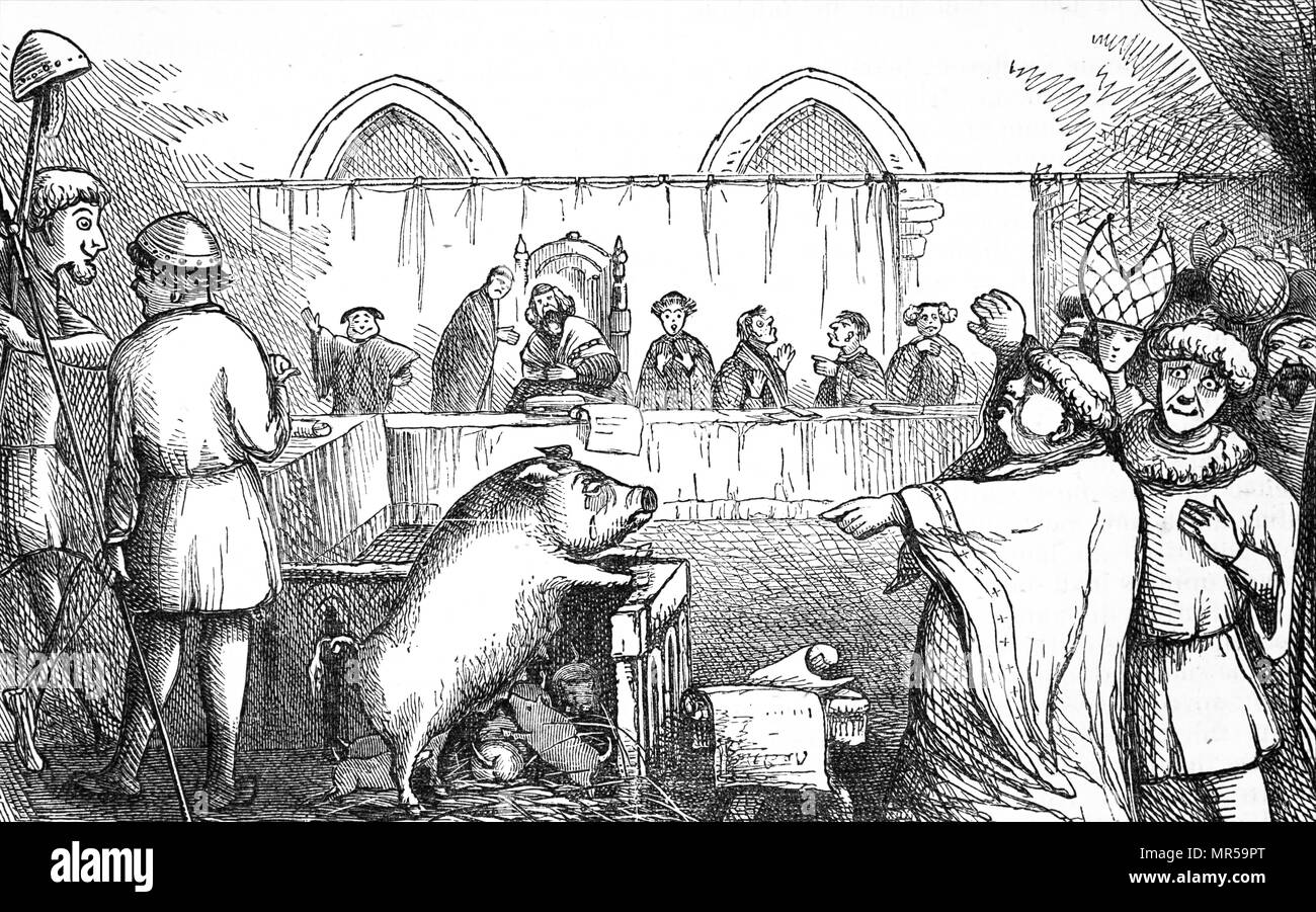 Illustrazione intitolata 'prova di una scrofa e i suini in Lavegny'. Nel 1457 una scrofa è stato condannato per omicidio e fu condannato a essere impiccato, mentre i maialini erano aqquited come non vi era alcuna prova contro di loro. Datata del XIX secolo Foto Stock